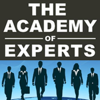 The Academy Of Experts
